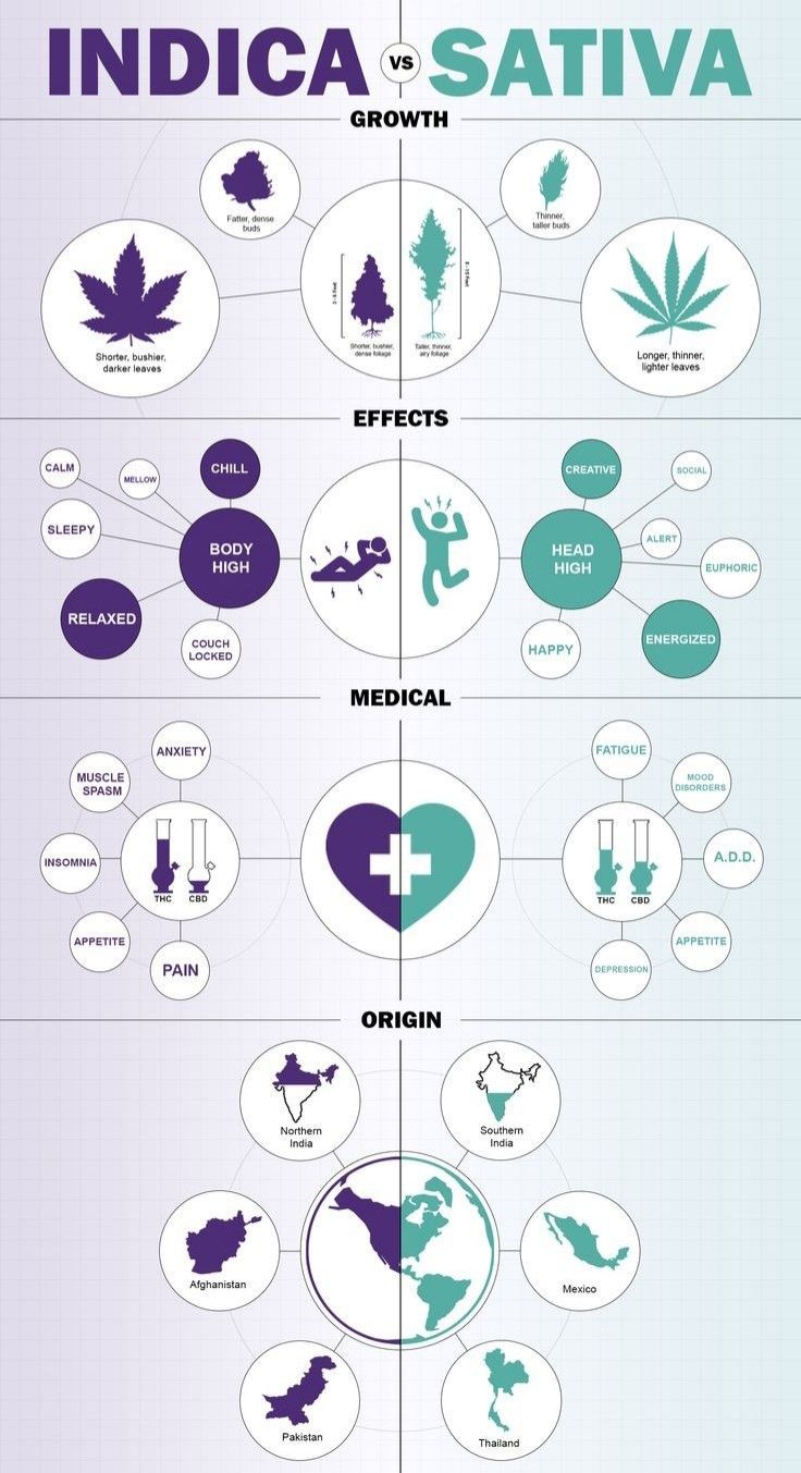 Key Difference: Sativa Vs Indica